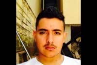 Gatoro de programa 150hr